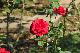 image0100