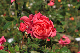 image0102