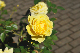 image0104