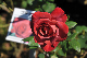 image0108