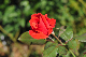 image0111