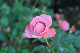 image0112
