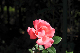 image0114