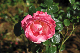 image0115