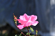 image0118
