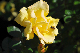image0119