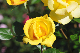 image0120