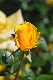 image0121