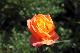 image0122
