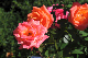 image0123