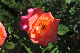 image0124