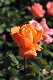 image0125