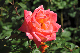 image0126
