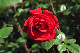 image0128