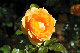 image0129