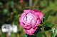 image0134