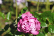 image0135