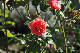 image0138