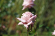 image0142