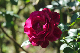 image0143