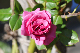 image0144