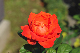 image0146
