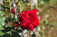 image0147