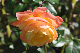 image0148