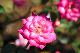 image0149