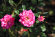 image0150