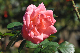 image0151