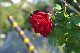 image0154
