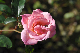 image0155