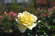 image0156