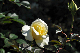 image0157