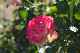 image0158