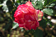 image0159