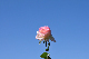 image0160