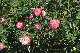image0164