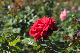 image0167