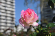 image0170