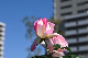 image0171