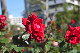 image0173