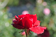 image0175