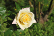 image0178