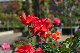 image0179