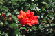 image0181