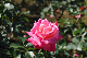 image0182