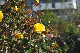 image0184