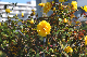 image0185